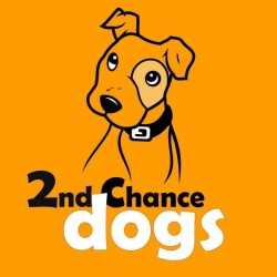 2ND CHANCE DOGS