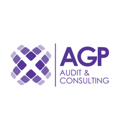 A.G.P. Audit & Consulting Services Ltd