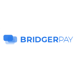 Bridger Ai Limited