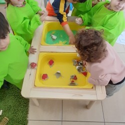 Bright Stars Day Nursery LTD
