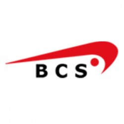 Business Consulting Support Ltd