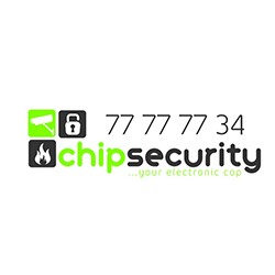 C.N. CHIP SECURITY LTD