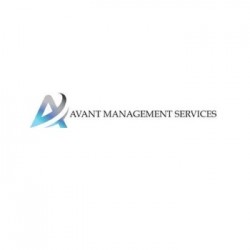 C.T. AVANT MANAGEMENT SERVICES LTD, A.TEKKIS & CO LLC