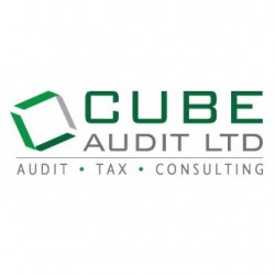 Cube Audit Limited