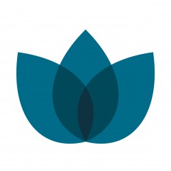 CX Financia Ltd