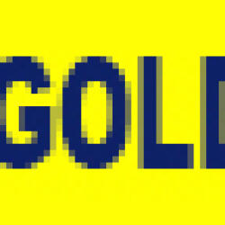 F AND S GOLD LTD