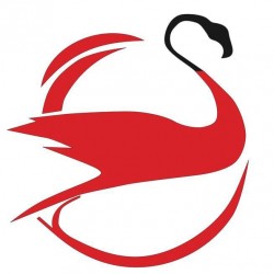 Flamingo Motors Ltd