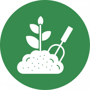 G.I EXPERT GARDENING AND MORE SERVICES Ltd