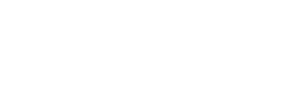 George Z. Georgiou & Associates LLC