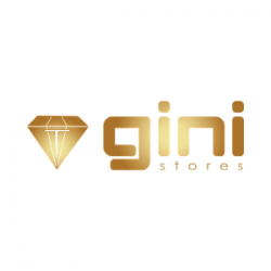 GINI GROUP