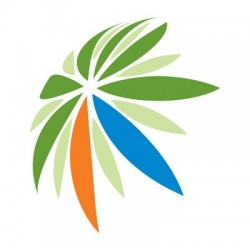 Green innovative Cypriot company in the field of Eco Alloys and Eco Synthetic Fuels Production