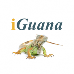 iGuana DMS Ltd