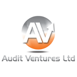 K.G AUDIT VENTURES LTD
