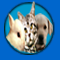Medvets Veterinary Clinic