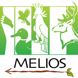 Melios Pet Center Ltd