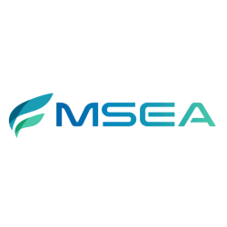 MSEA MANAGEMENT LTD