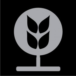 Multigrain Bakery Cafe Ltd