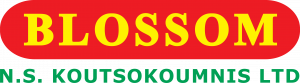 N.S. KOUTSOKOUMNIS LTD