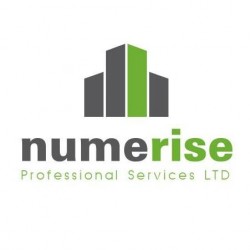 Numerise Professional Services Limited