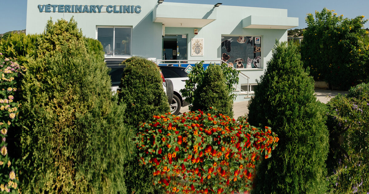 Peyia Veterinary Clinic