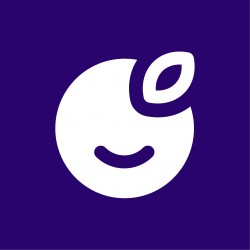 Plum Fintech