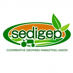 SEDIGEP LTD