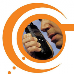 TELECTRONICS IT