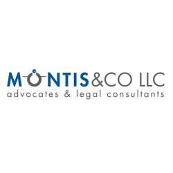 Th.Montis & Co LLC
