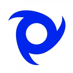 The Placement Group Plc