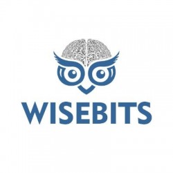 Wisebits