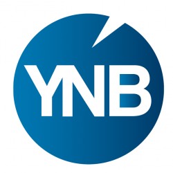 YNB Consulting Ltd