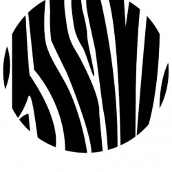 ZEBRA Consultants Ltd